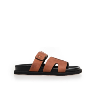 Just summer cognac